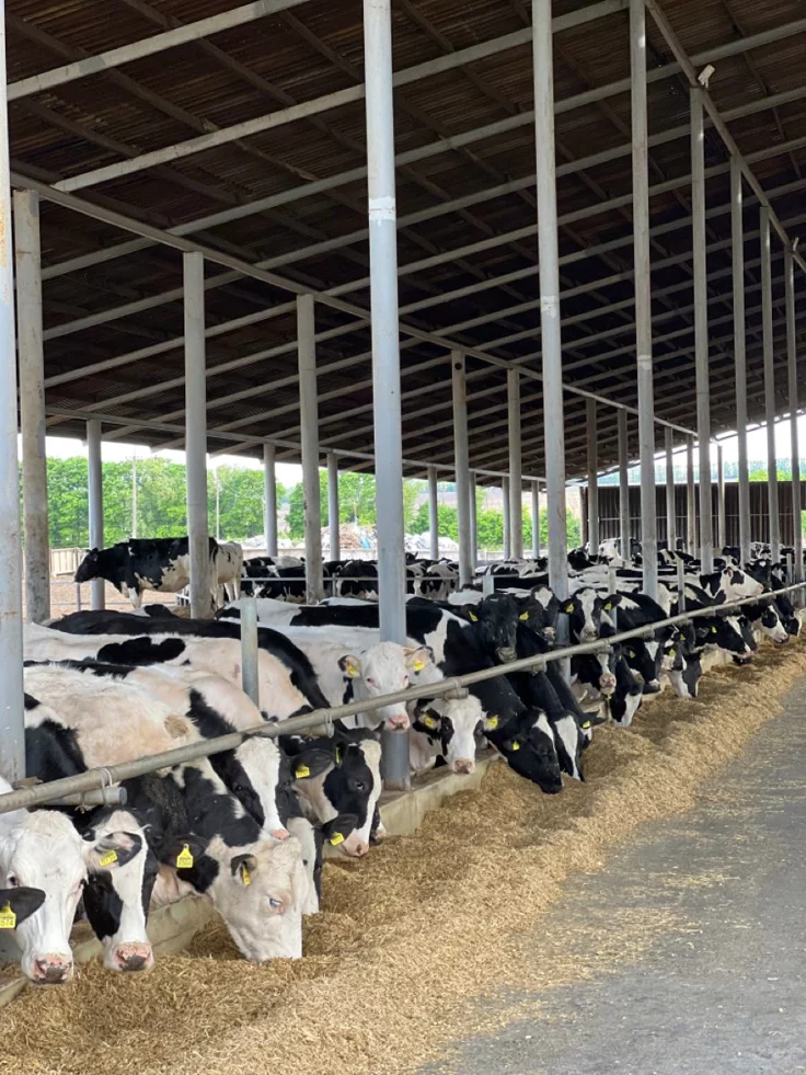 Farm Security