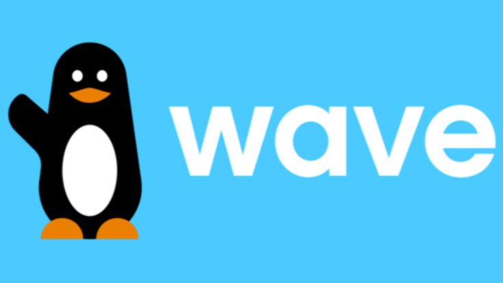 wave